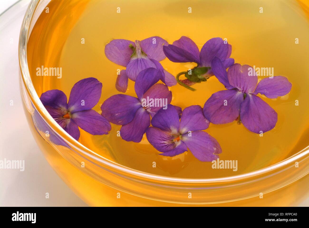 Herb tea made of Viola odorata, Blue Violet, Sweet Violet Stock Photo