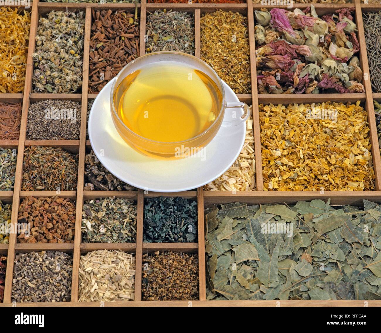 Herb tea and various dried herbs Stock Photo