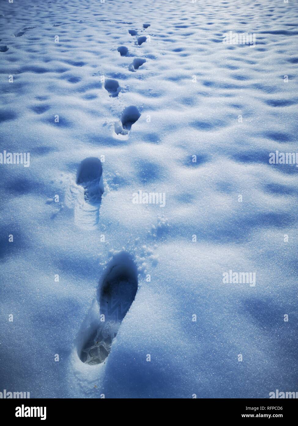 Footprints in snow Stock Photo