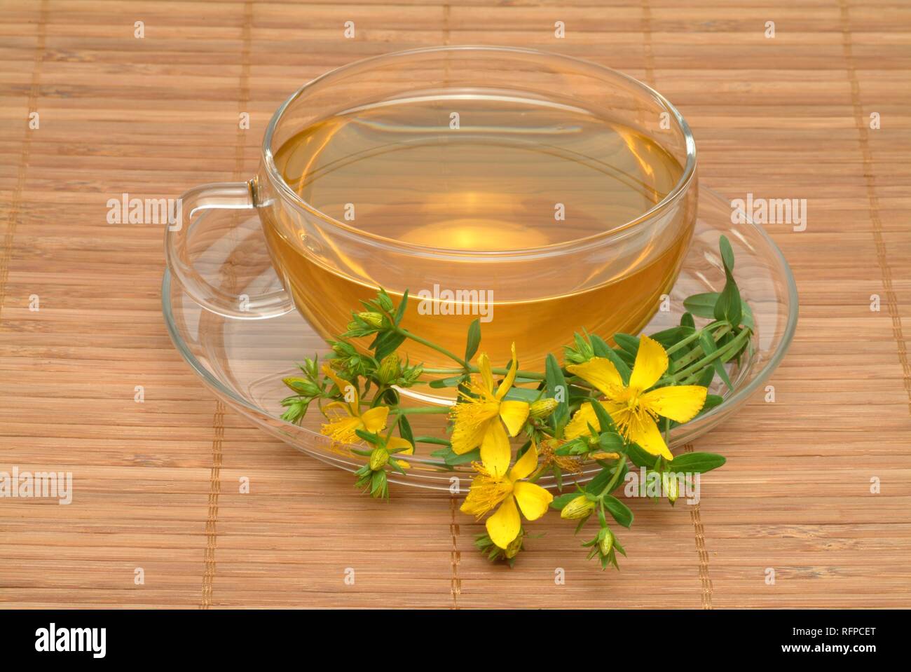 Saint johns wort hires stock photography and images Alamy
