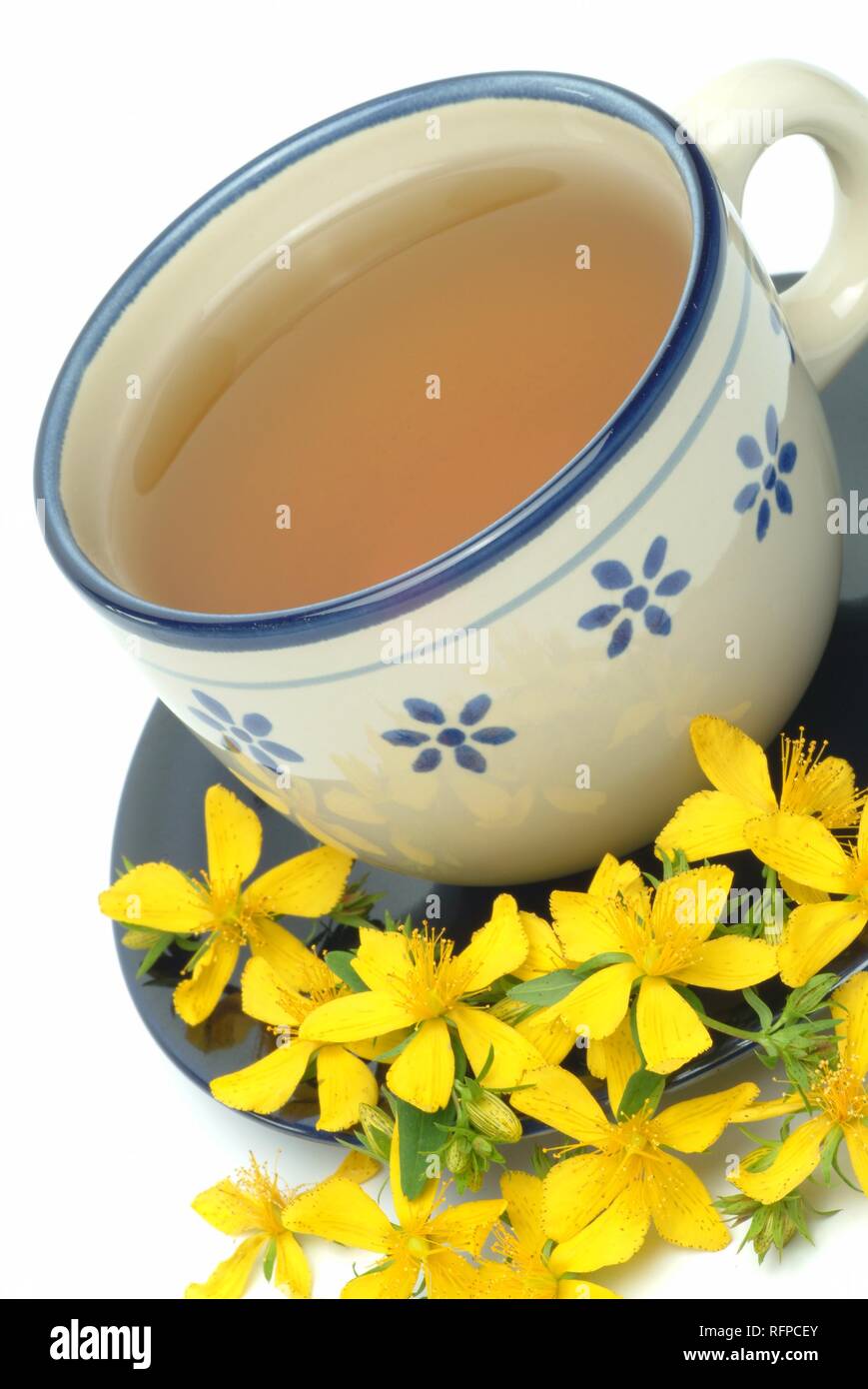 Saint John's Wort tea, herb tea, hypericum perforatum Stock Photo Alamy