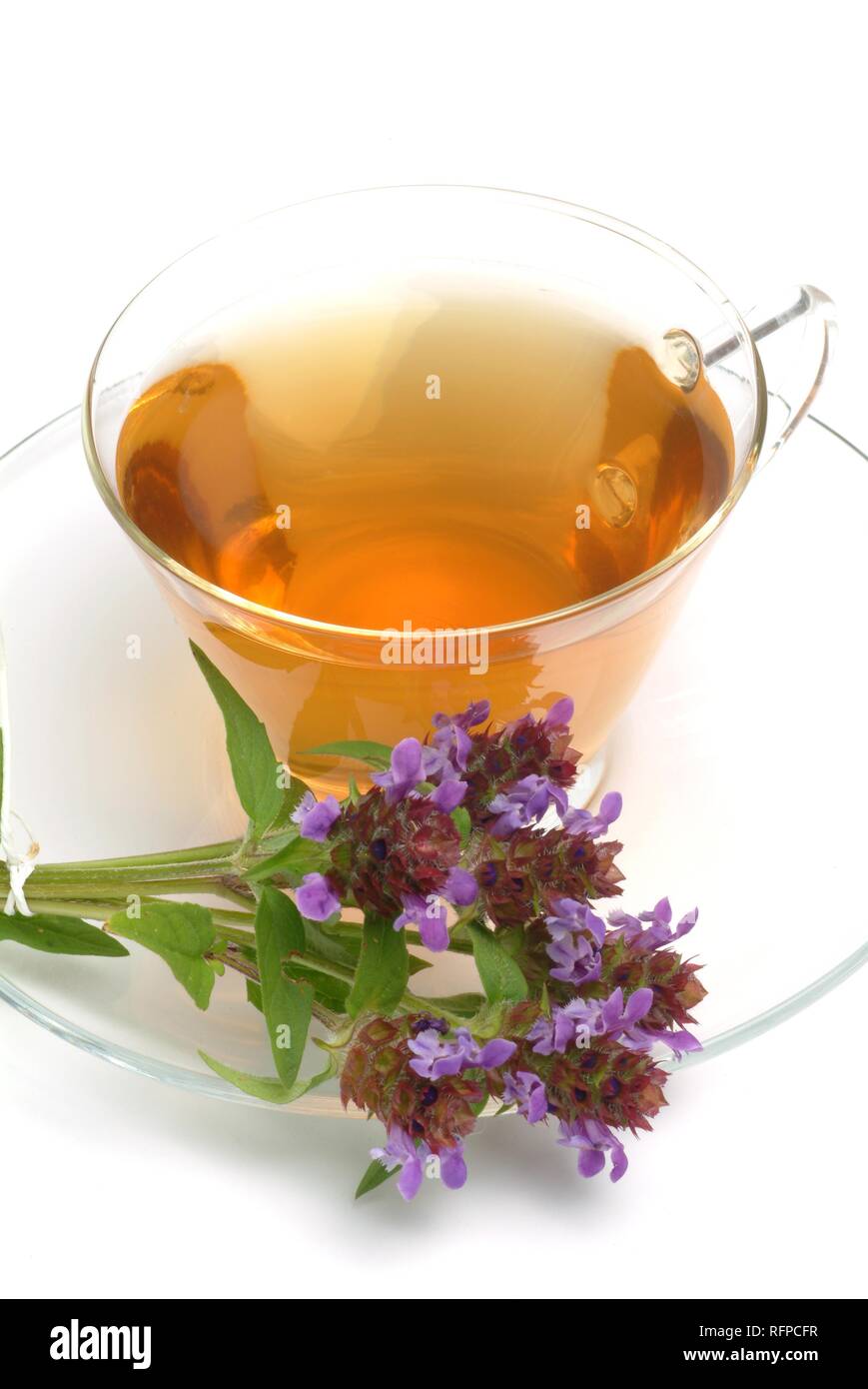 Herb tea made of Prunella, carpenter's herb, Prunella vulgaris Stock Photo