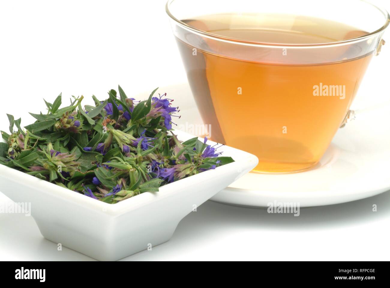 Herb tea made of Hyssop, Hyssopus officinalis Stock Photo