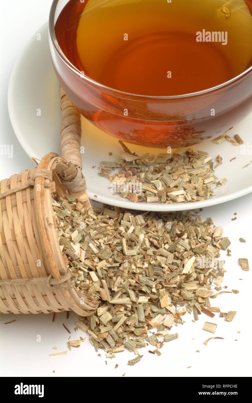 Wild Chicory tea, Cichorium intybus, Cicoria selvatica Stock Photo