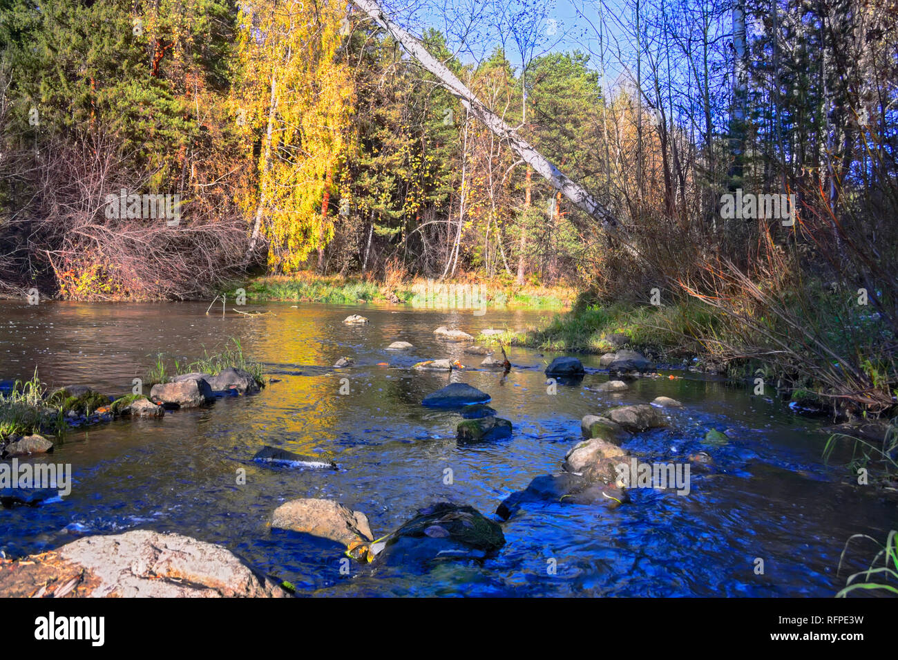 River bank at sunny autumn day. Beautiful landscape. Stock Photo