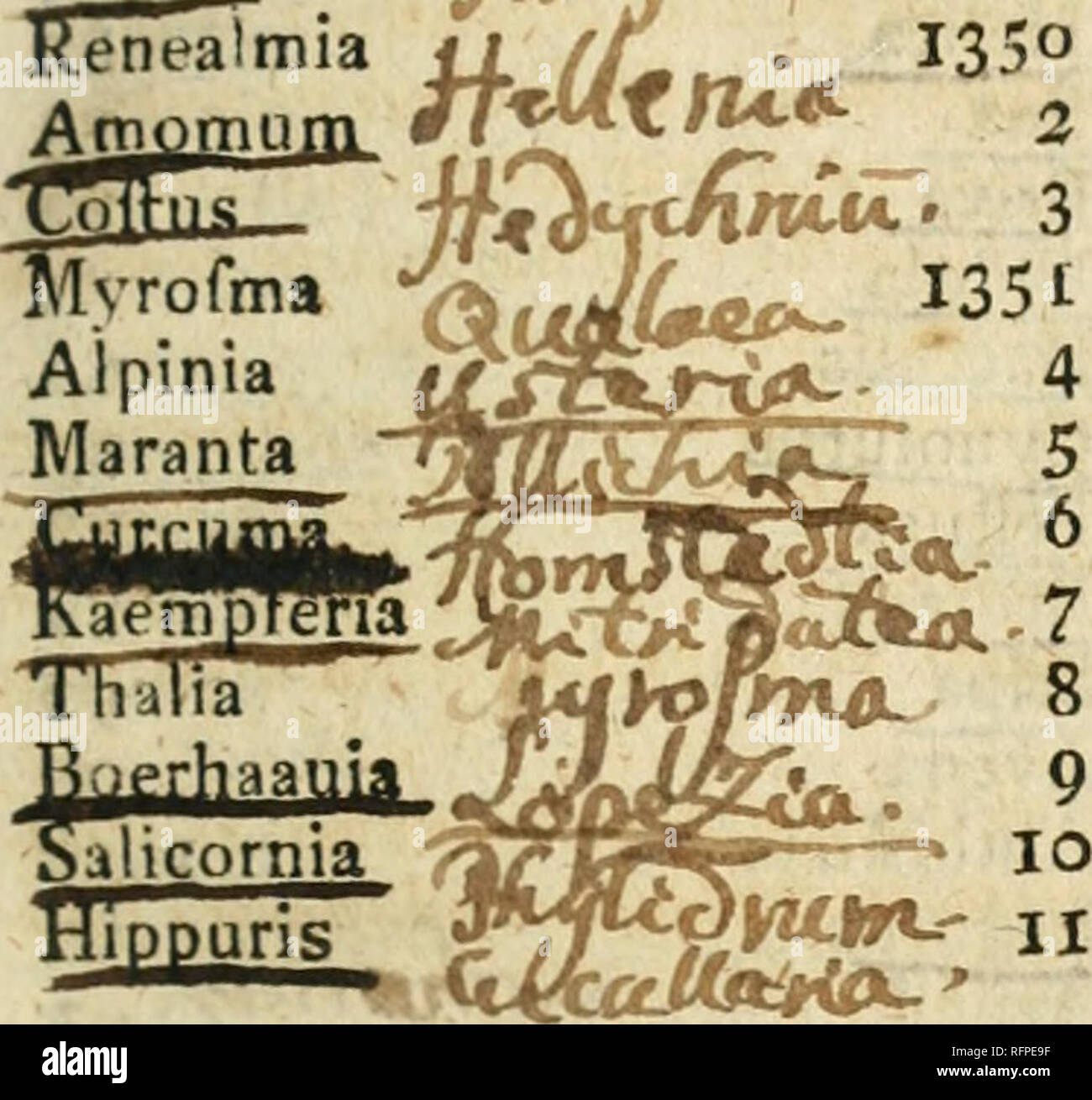 Basketball Legend Michael Jordan Welcomes Twin Daughters, Victoria and  Ysabel - ABC News, image size:1300x1310