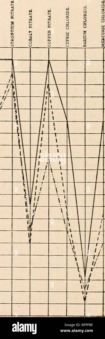 . Carnegie Institution of Washington publication. CHART E 42.—Composite Curves of the Starches of Phaius grandifolius (-- --), Phaius wallichii(-- and Phaius hybridus ( ). 100 95 9O 85 80 75 * TO I 65 &quot; 6° 8 55 o 5 50  4S 0 4O 1 35 5 ao 25 20 15 42.6- 45* 47.5' SO&quot; 62.6- 55&quot; 67.5' 560' 5 62.5' 5 5 67.5&quot; ;70' !7S° 77.5' 80° 62.5- 65' 87.5° 90° 92.6* / 5 S T7. CHART E 43.—Composite Curves of the Starches of Miltonia vexillaria ( ), Millonia rcezlii ( ), and Miltonia bleuana ( ).. Please note that these images are extracted from scanned page images that may have been digital Stock Photo