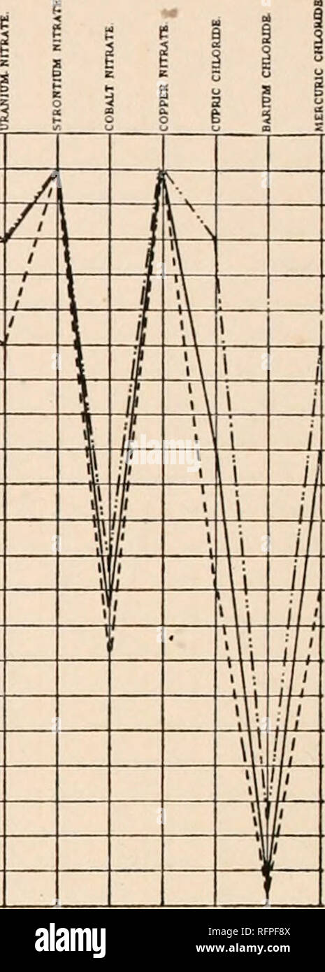 . Carnegie Institution of Washington publication. ° °. CHART E 42.—Composite Curves of the Starches of Phaius grandifolius (-- --), Phaius wallichii(-- and Phaius hybridus ( ). 100 95 9O 85 80 75 * TO I 65 &quot; 6° 8 55 o 5 50  4S 0 4O 1 35 5 ao 25 20 15 42.6- 45* 47.5' SO&quot; 62.6- 55&quot; 67.5' 560' 5 62.5' 5 5 67.5&quot; ;70' !7S° 77.5' 80° 62.5- 65' 87.5° 90° 92.6* / 5 S T7. Please note that these images are extracted from scanned page images that may have been digitally enhanced for readability - coloration and appearance of these illustrations may not perfectly resemble the origina Stock Photo
