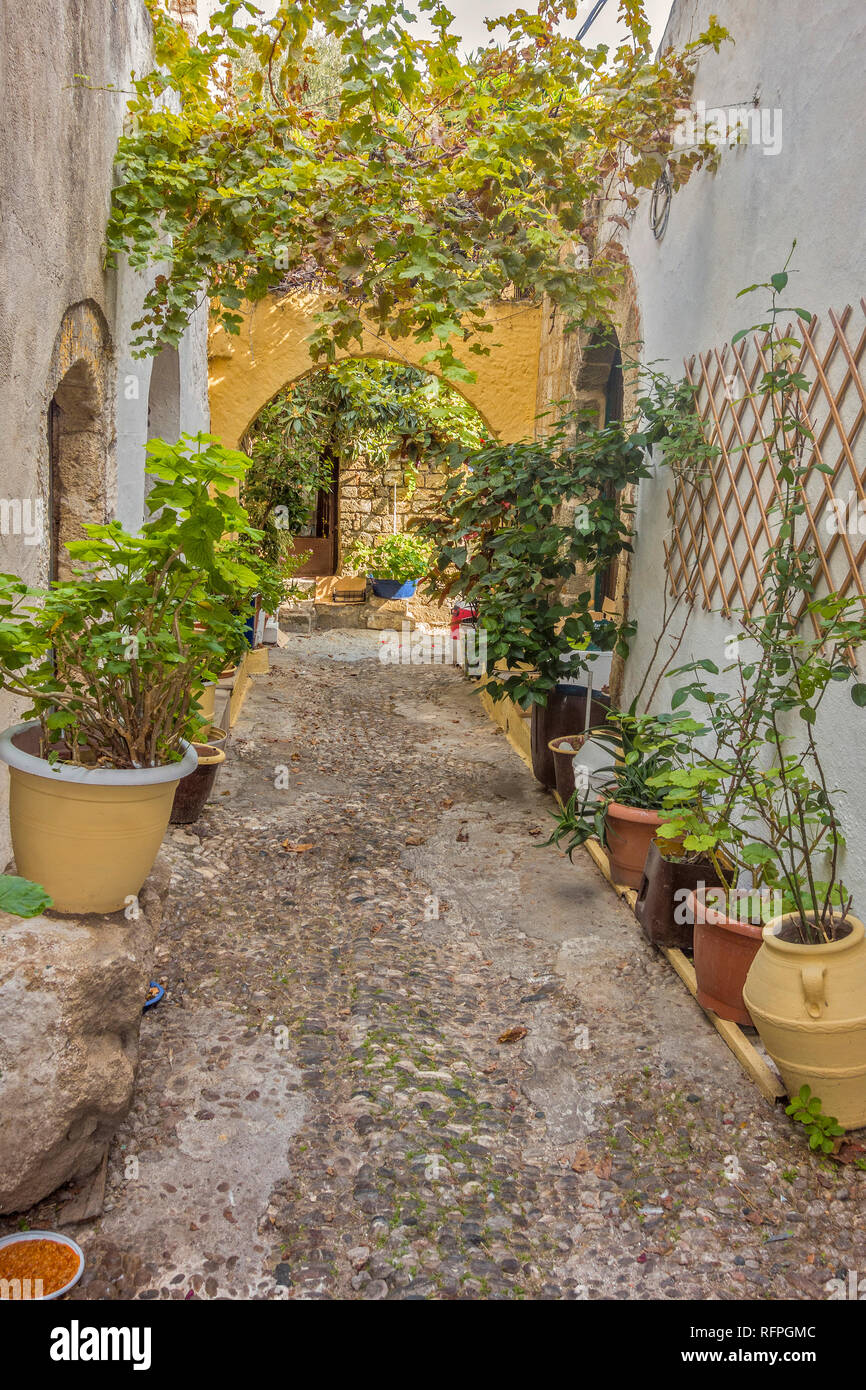 Plant Pot Garden In A Back Street Old Town Rhodes Greece Stock