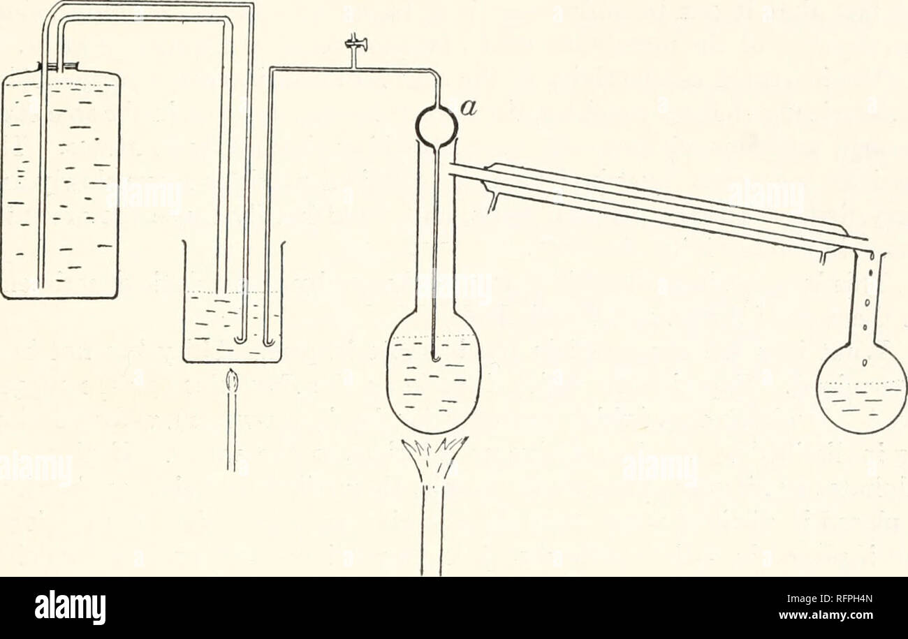 Carnegie Institution of Washington publication. Experiments on