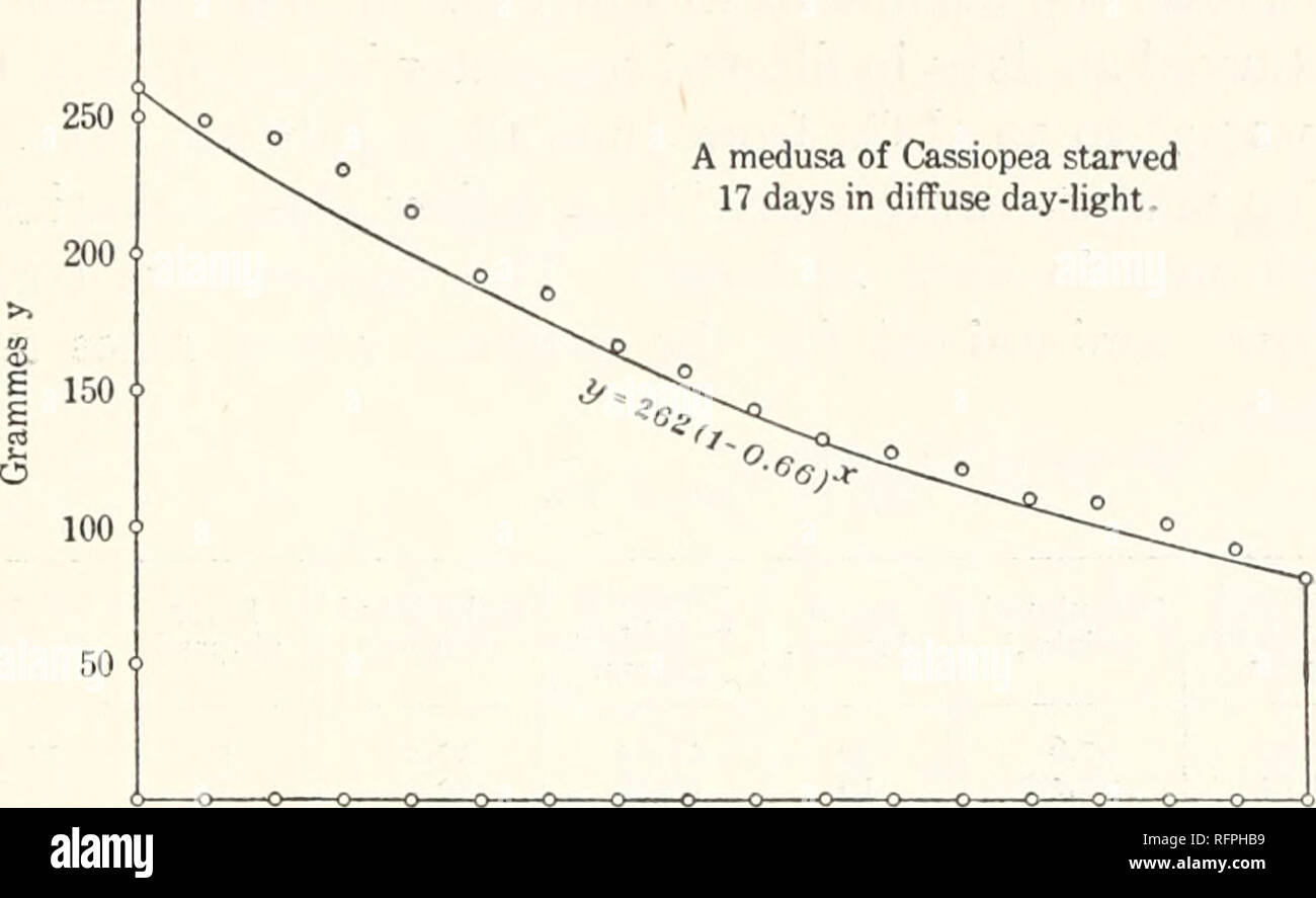 . Carnegie Institution of Washington publication. Law Governing Loss of Weight in Starving Cassiopea. 69 300? A medusa of Cassiopea starved 17 days in diffuse day-light.. 0 1 2 3 4 5 6 7 8 9 10 11 12 13 14 15 16 17 Days X Diagram illustrating Table 8. Table 9 shows the decline in weight of two normal medusas of Cassiopea xamachana starved 25 days in diffuse daylight, in filtered sea-water, at 27.5Â° to 30Â° C, from June 28 to July 23, 1912, at Tortugas, Florida. The medusae were placed in a glass aquarium holding 6 liters, the water being changed once in each 24 hours. Table 9. 55 50 i 45 i&gt Stock Photo