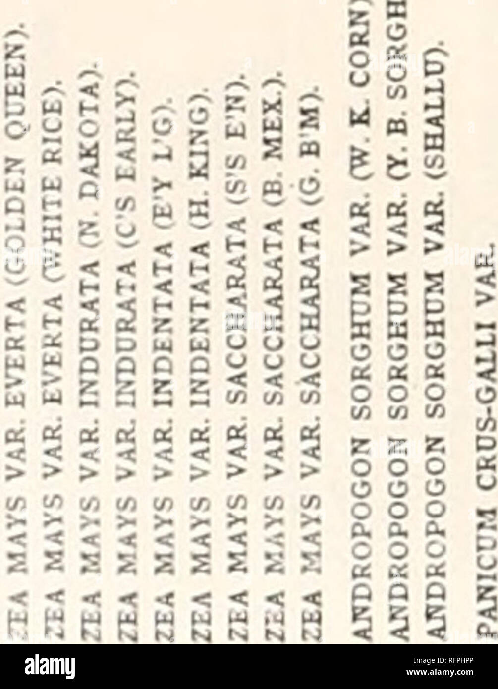 Carnegie Institution Of Washington Publication 2s5 355 S Q O Gt 3 Lt W O 2 T Q J T O U J 2 W 0 Z O A Lt P Carnegie Institution Of Washington Publication 2s5 355 S Q O Gt 3 Lt W O 2 T Q J T O U J 2 W 0 Z O A Lt P