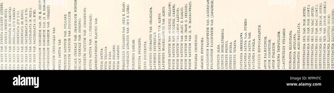 Carnegie Institution Of Washington Publication 326 Differentiation And Specificity Of Starches S Ps Quot 8 A J 9 Gt A E Sri Eseseeeeks Srisrisririridri Ads Z A A 3a 3 Sssgg