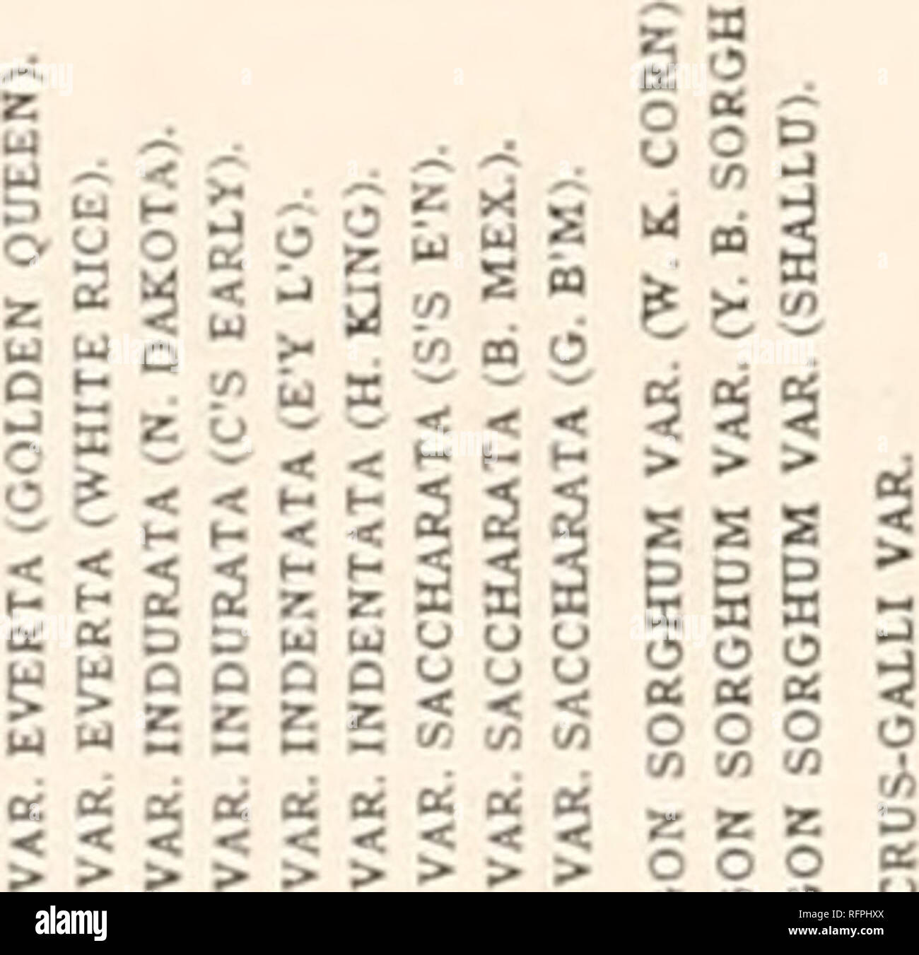 Carnegie Institution Of Washington Publication 318 Differentiation And Specificity Of Starches A Quot D Ll R Pt 1 1 1 1 1 1api 1 J O E N Sig A