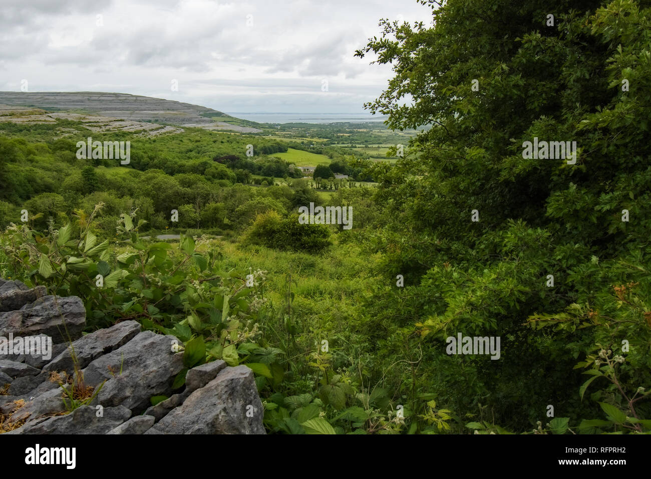 Irish country side Stock Photo Alamy