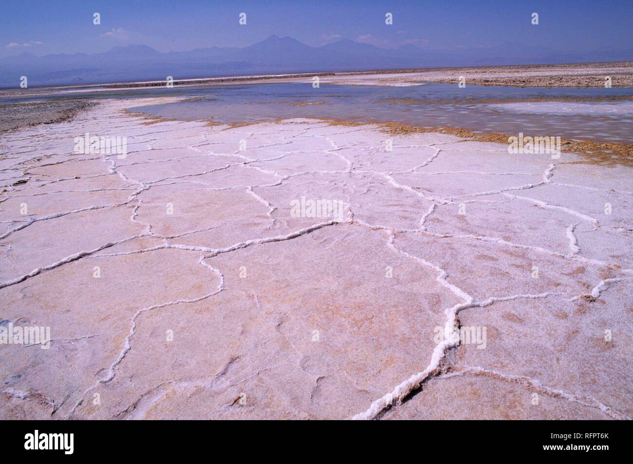 CHL, Chile, Atacama Desert: salt lake Salar de Atacama. Stock Photo