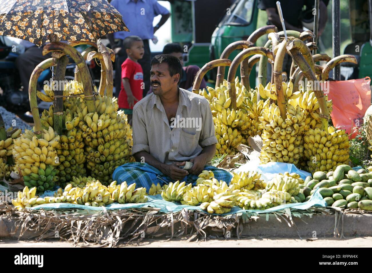 LKA, Sri Lanka, Galle Fresh market, daily, fruits, vegetables, herbs