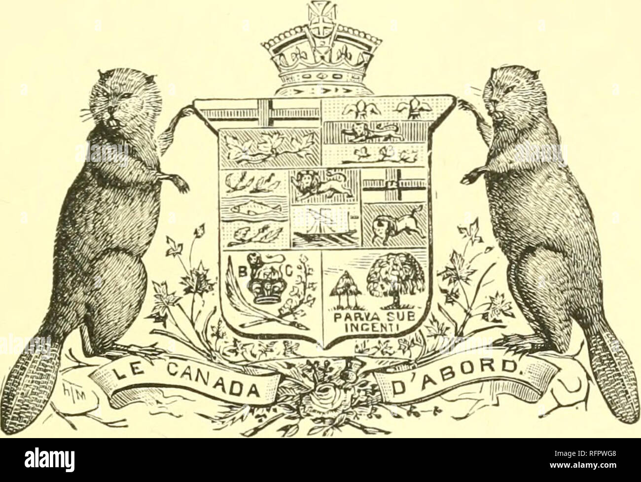 Beaver Coat Of Arms High Resolution Stock Photography and Images - Alamy