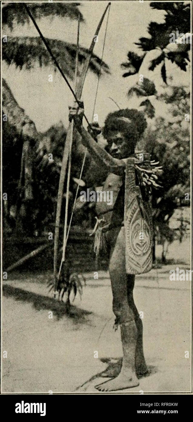 Carved And Painted Designs From New Guinea Decoration And