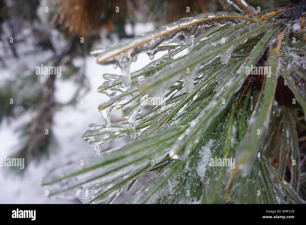 Freezing rain in Bucharest, ice rain Stock Photo