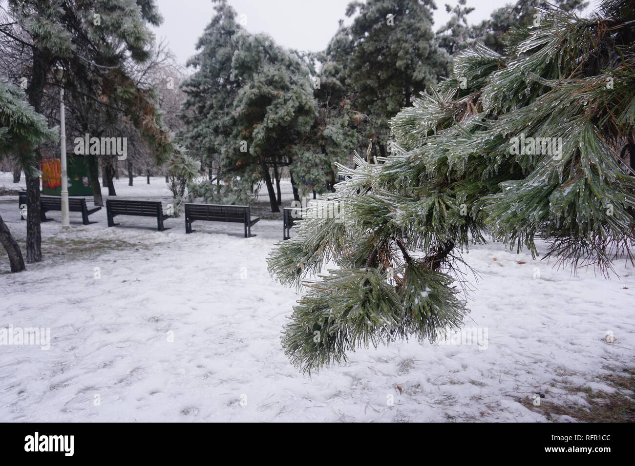 Freezing rain in Bucharest, ice rain Stock Photo