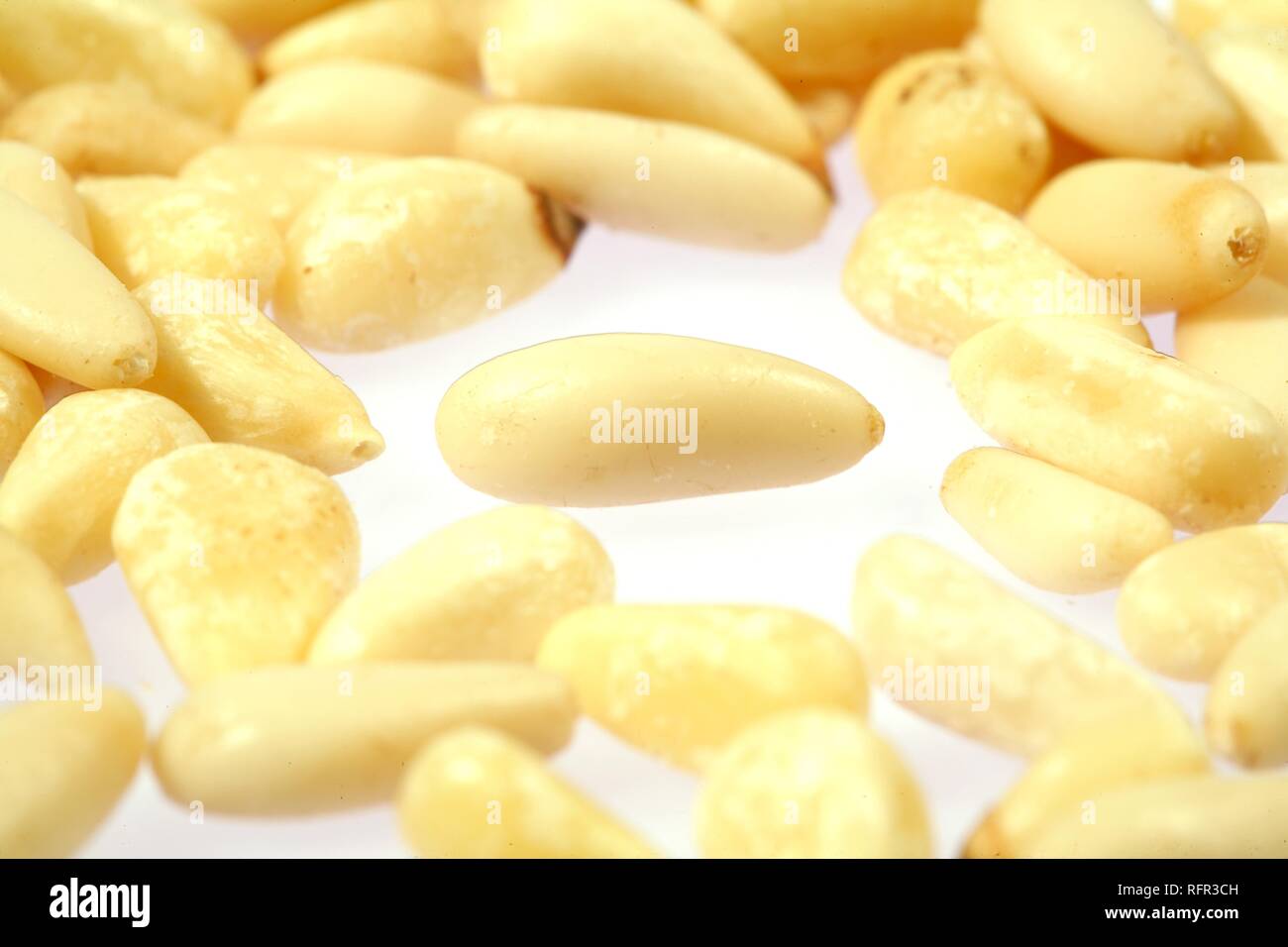 Pinenuts Stock Photo