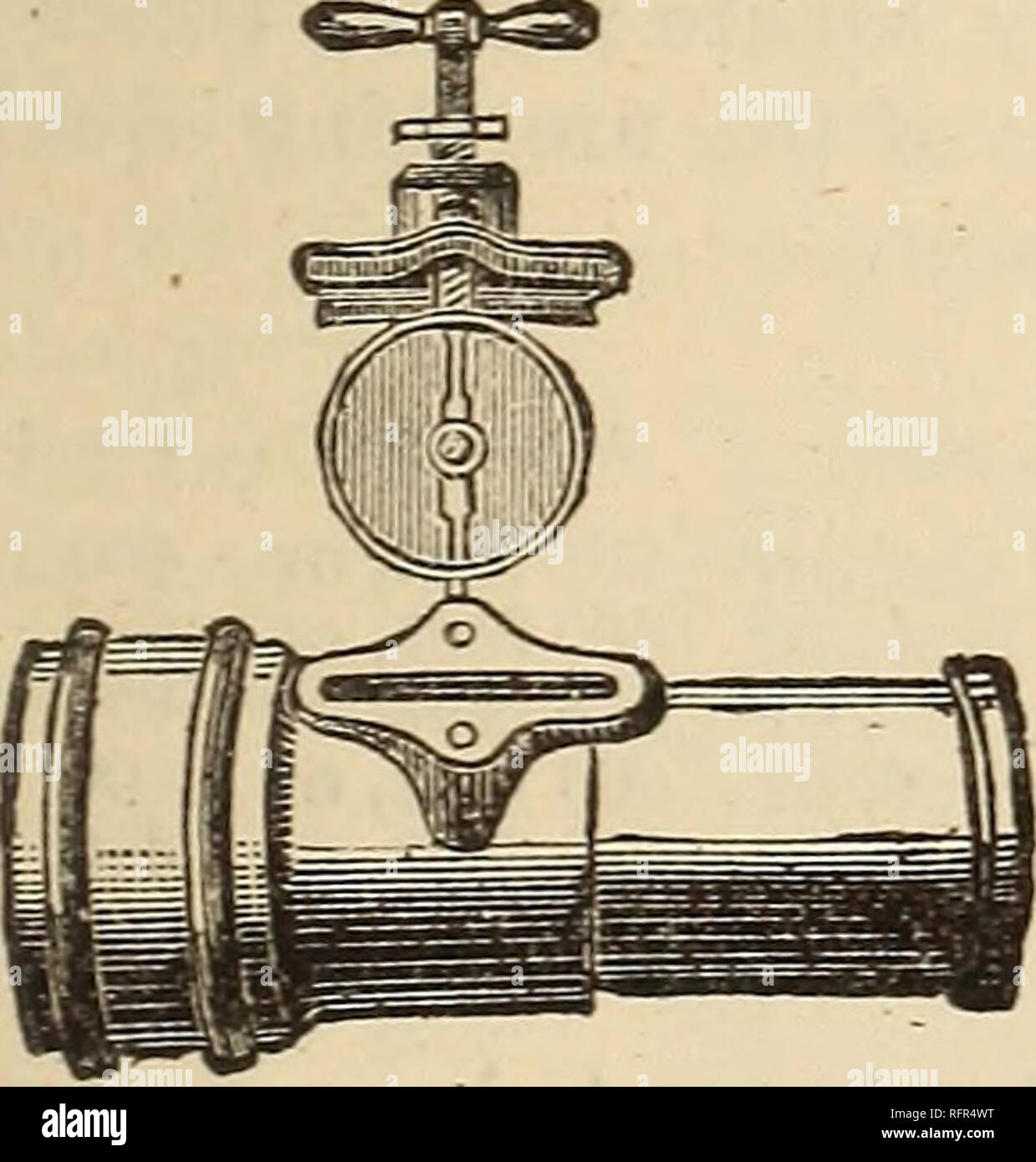 Cassell S Popular Gardening Gardening Fig 50 Ordinary Throttle