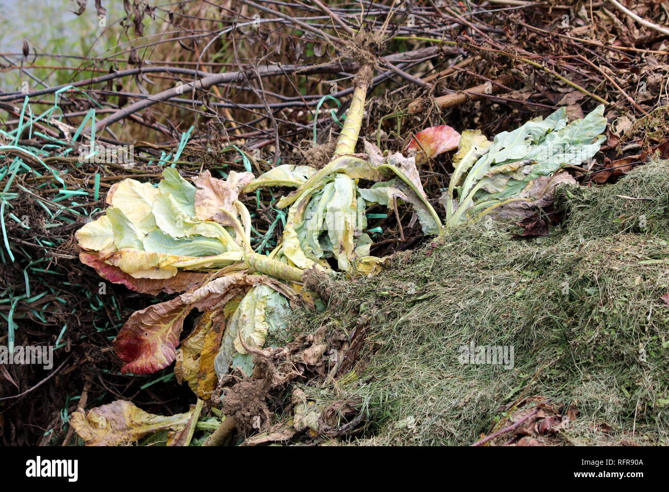 Compost pile inside of large compost bin in local garden full of cut