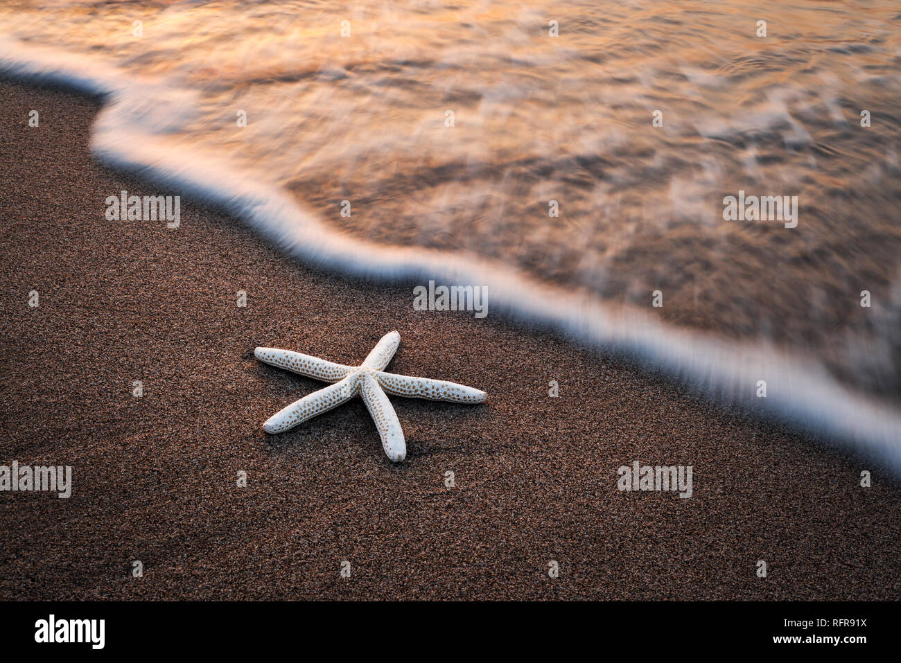 Amazing Mediterranean seascape with golden sand and blue waves. Summer vacations background Stock Photo