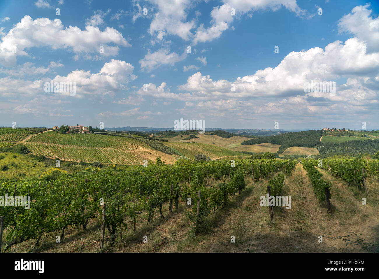 Typische toskanische Landschaft bei San Gimignano, Toskana, Italien  |   typical tuscan landscape around San Gimignano, Tuscany, Italy Stock Photo