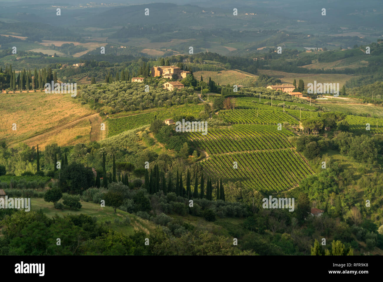 Typische toskanische Landschaft bei San Gimignano, Toskana, Italien  |   typical tuscan landscape around San Gimignano, Tuscany, Italy Stock Photo
