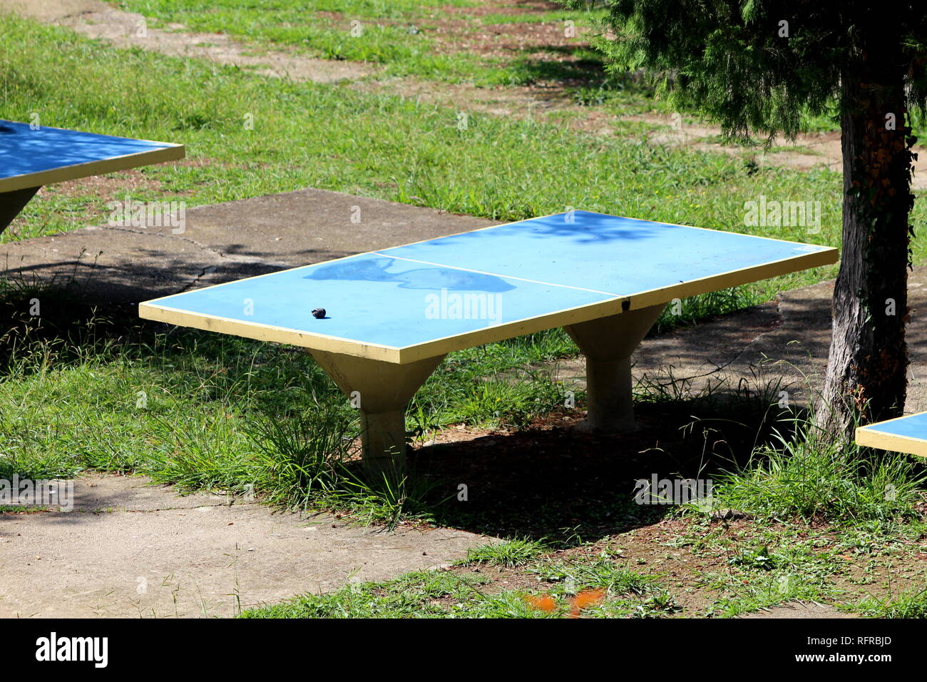 Outdoor concrete ping pong table on abandoned playground surrounded ...