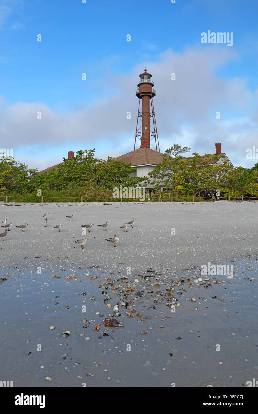 Shells and seaguls on the beach before the Sanibel Island or Point Ybel Light on Sanibel Island, Florida with surrounding vegetation viewed from Light Stock Photo