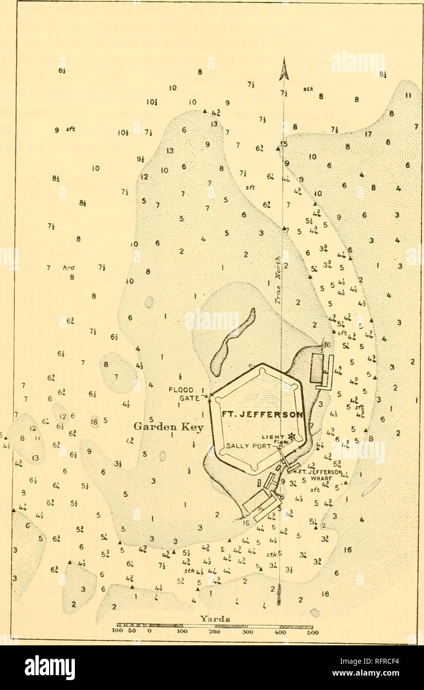 . Carnegie Institution of Washington publication. THE TEMPERATURE OF THE FLORIDA CORAL-REEF TRACT. 32S. Fig. 7.—Map showing stations at Fort Jefferson, Tortugas, where water-temperature readings were made. Scale looiio- The accompanying figure (fig. 7) shows the precise location of the stations at which the readings were taken. The coral fauna within the moat and outside the floodgate is that typical for inner flats. The commonest species are Favia fragum, Meeandra areolata, M. clivosa, Siderastrea radians, Pontes pontes (= P. clavaria), P. furcata, and P. astreoides. The fauna on the piers of Stock Photo