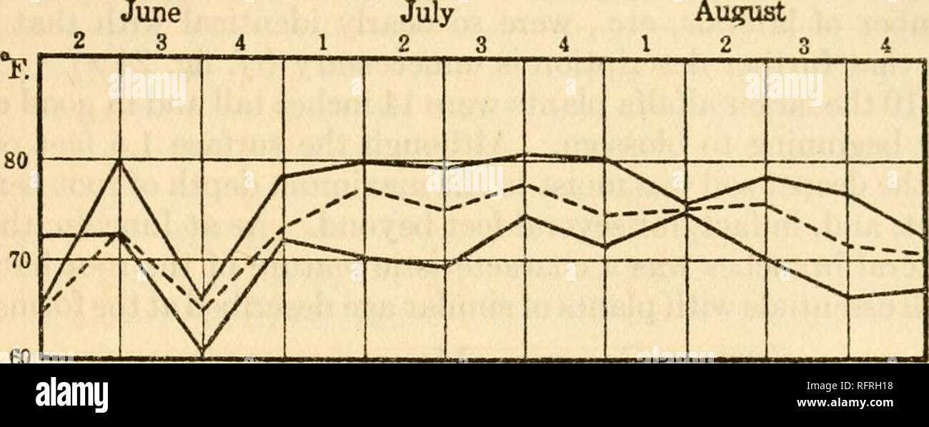 . Carnegie Institution of Washington publication. Investigations at