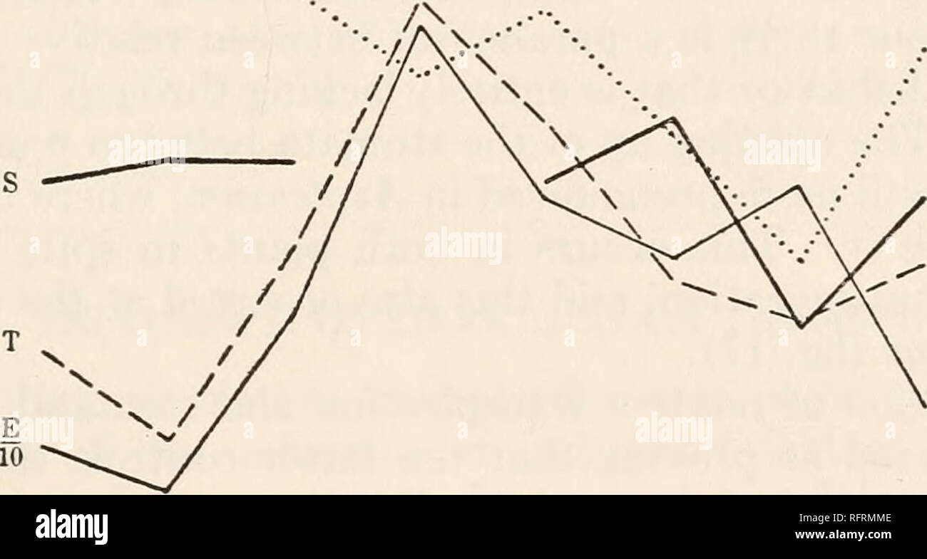 . Carnegie Institution of Washington publication. 1 E. 10 FIG. 18.—Curves for simultaneous experiments with Diplazium celtidifolium (upper) and Asplenium alatum (lower). These experiments were carried out on the same day as those with Peperomia and Pilea (fig. 17). The curves are: transpiration (T), evaporation 771 re^ative transpiration (,), and stomatal area (S). In the afternoon, between 4 and 6 o'clock, there is a rapid fall in the relative rate, with no accompanying change in the stomatal openness; between 6 and 9 p. m., however, the two rise in company. The daily march of stomatal openne Stock Photo