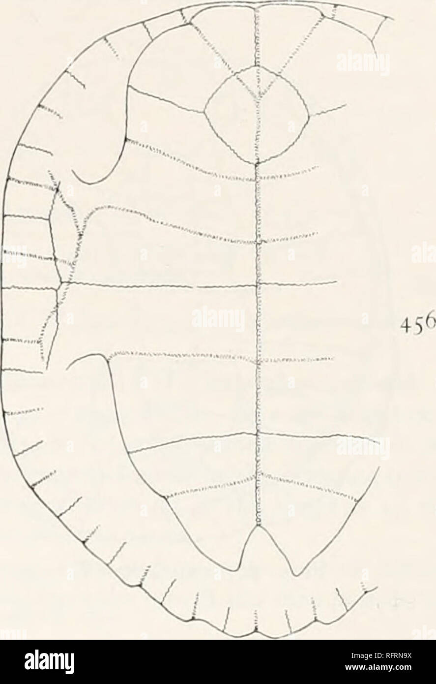 Geographu hires stock photography and images Alamy
