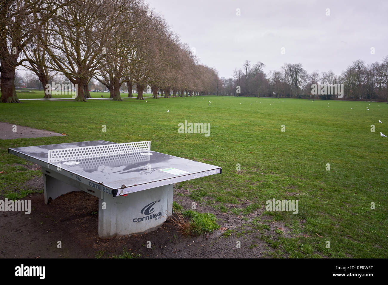 All Weather Concrete And Metal Table Tennis Table On Jesus Green Cambridge England On A Wet Day In The Middle Of Winter Stock Photo Alamy