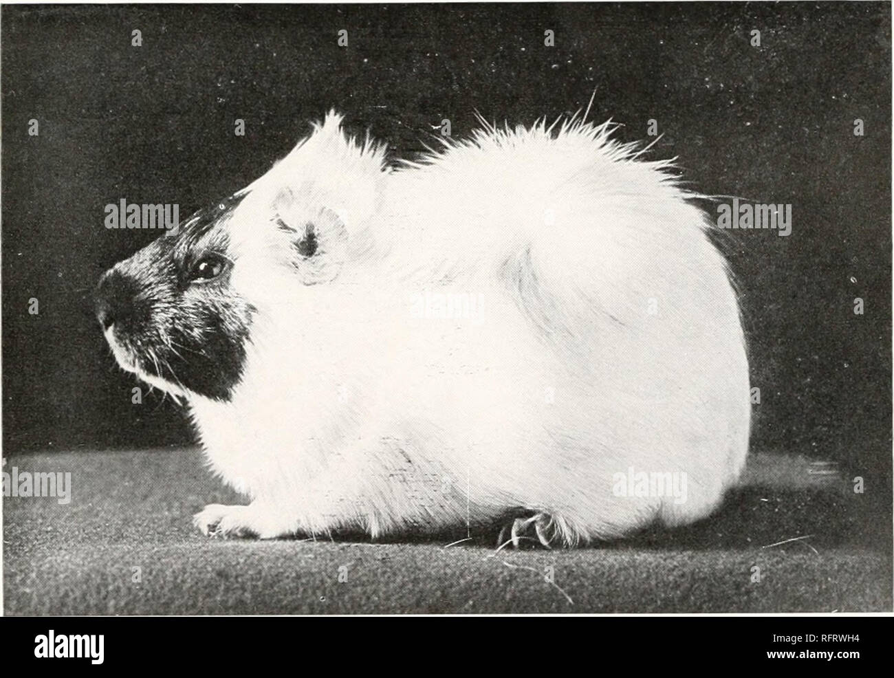 Carnegie Institution Of Washington Publication Fig 11 A