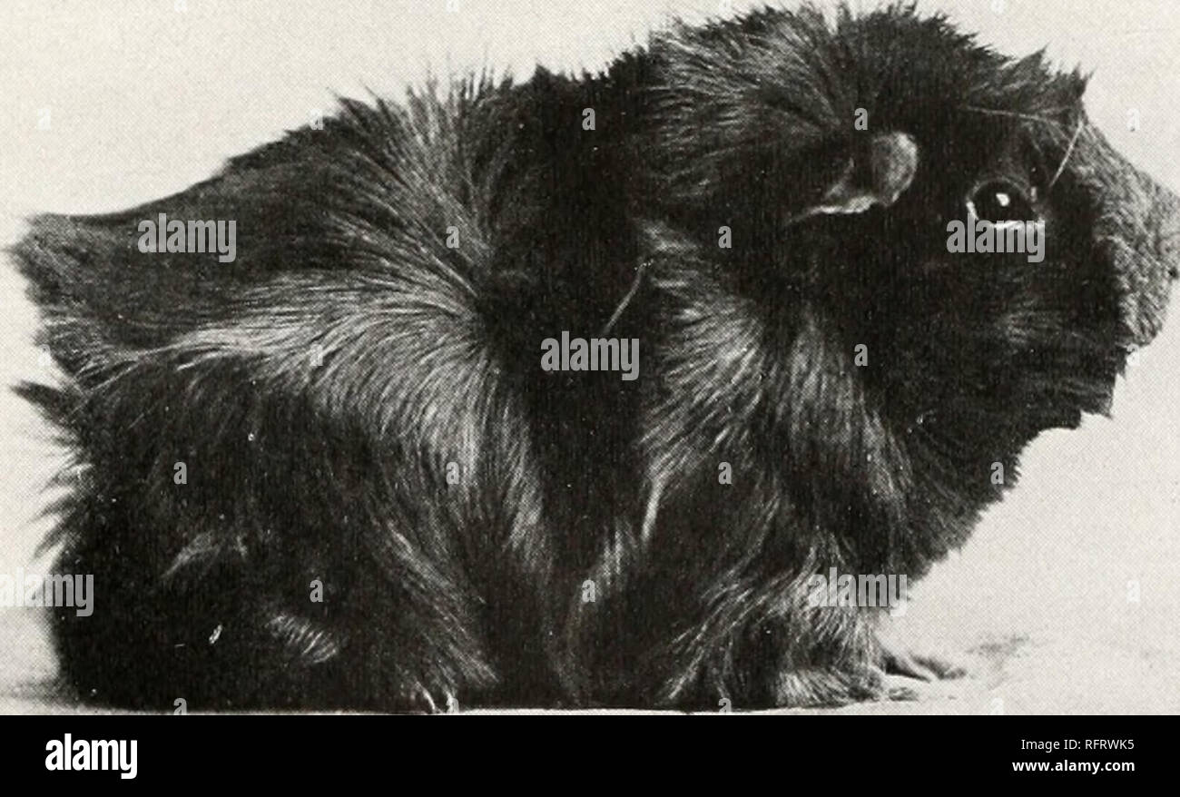 Carnegie Institution Of Washington Publication Fig 3 A Short