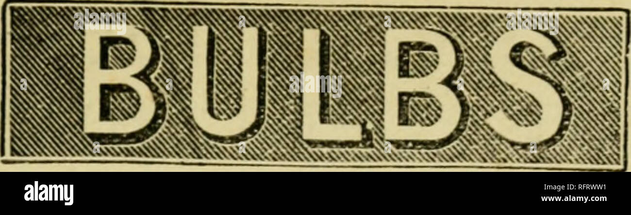 The Carnation Manual Special Notice If You Want Really Good Bulbs And Seeds At Moderate Prices Apply To Mr Robert Sydenham Oj The Finn Of Sydenham Brothos Jvholesale Jewellers Tenby Street