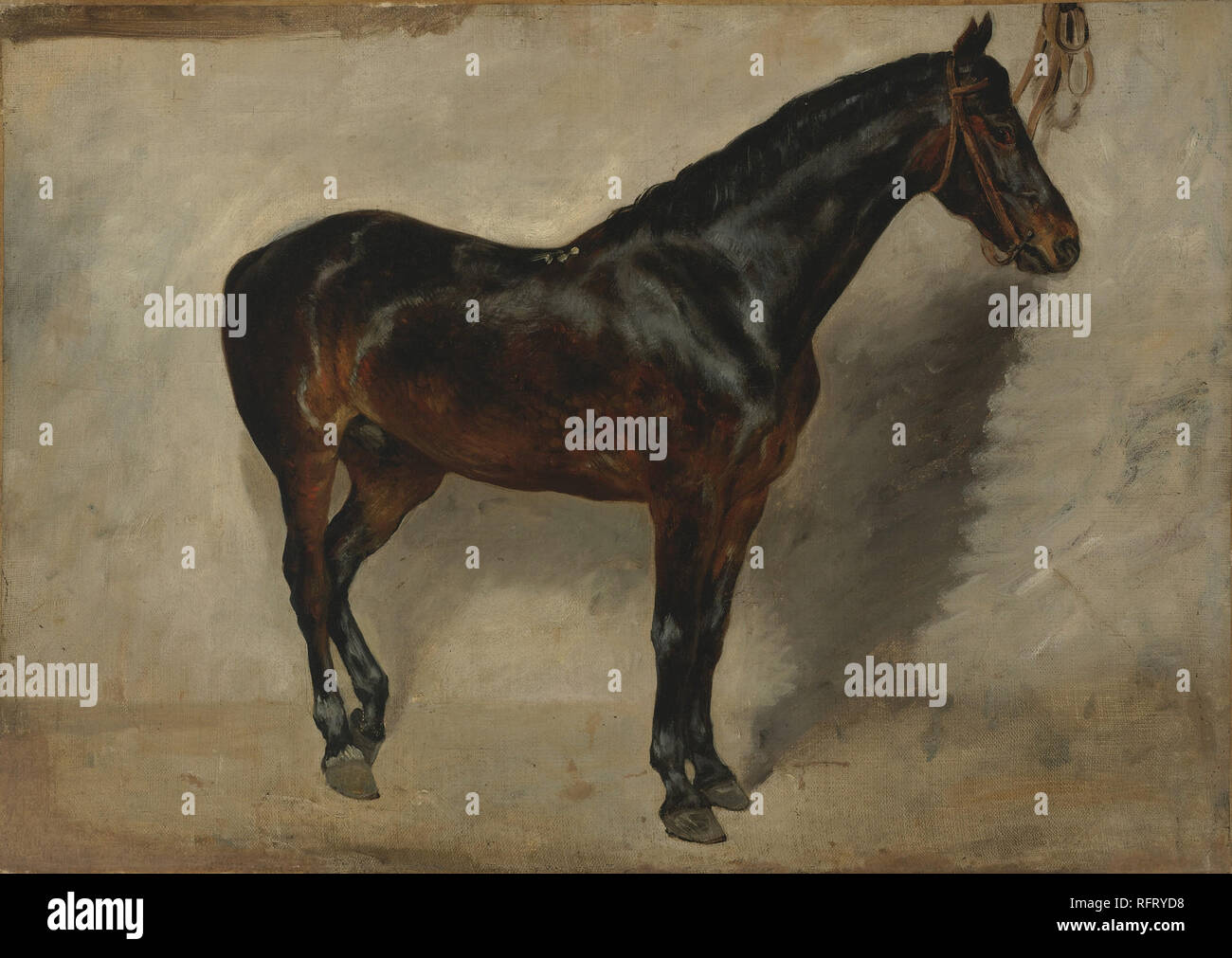 Eugène delacroix horse hires stock photography and images Alamy