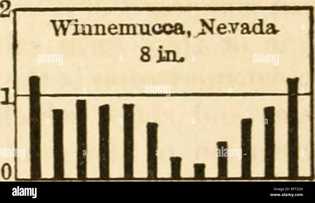 . Carnegie Institution of Washington publication. Fillmore, Utah 15 in. 11. Fig. 5.—Monthly and total rainfall for representative localities in the Basin sage- brush association. With respect to the component species, the unity of the climax is proved by such widely ranging dominants as Artemisia tridentata, Chrysothamnus nauseosus, Atriplex confertifolia, A. canescens, Gutierrezia sarothrae, and Eurotia lanata. Of the 17 dominants, only 4 fail to occur throughout the central mass of the formation as indicated by the limits of the Great Basin. As to origin, the formation is characteristically  Stock Photo