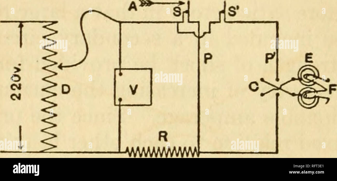 Carnegie Institution Of Washington Publication 178 Vitality And Efficiency With Restricted Diet A Control Switch C Which Is Also A Pole Changing Switch And Non Polarizable Electrodes E The Switches S And Carnegie Institution Of Washington Publication 178 Vitality And Efficiency With Restricted Diet A Control Switch C Which Is Also A Pole Changing Switch And Non Polarizable Electrodes E The Switches S And