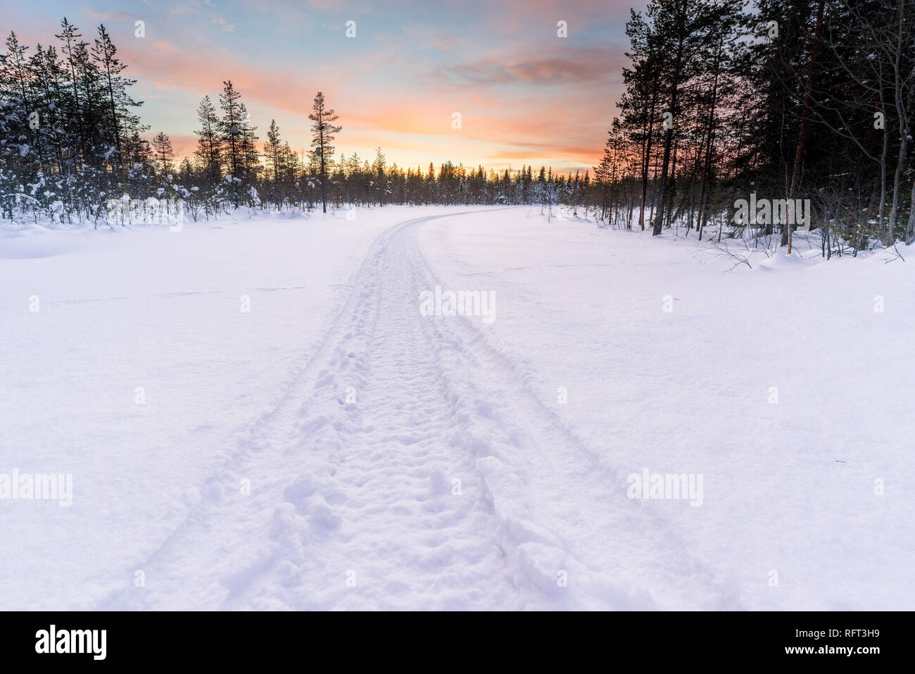 Track in deep snow from a snowmobile leads into the forest, while the sun is setting in Finnsih Lapland. Picture was taken in Pyha, Finland. Stock Photo