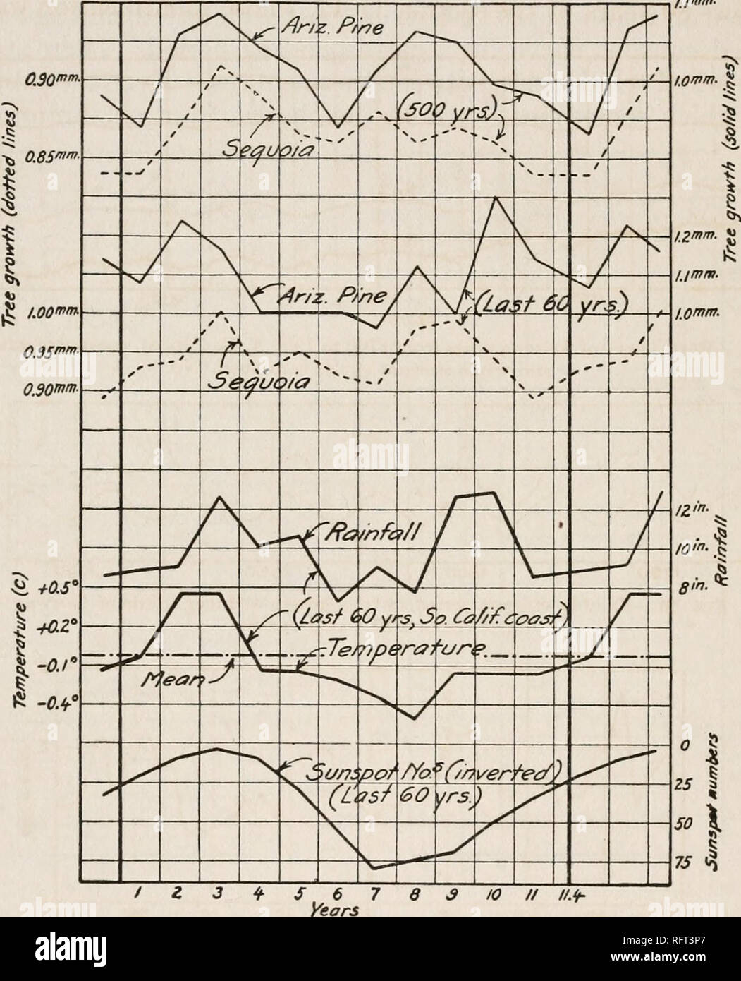 Double sheet cycle sales