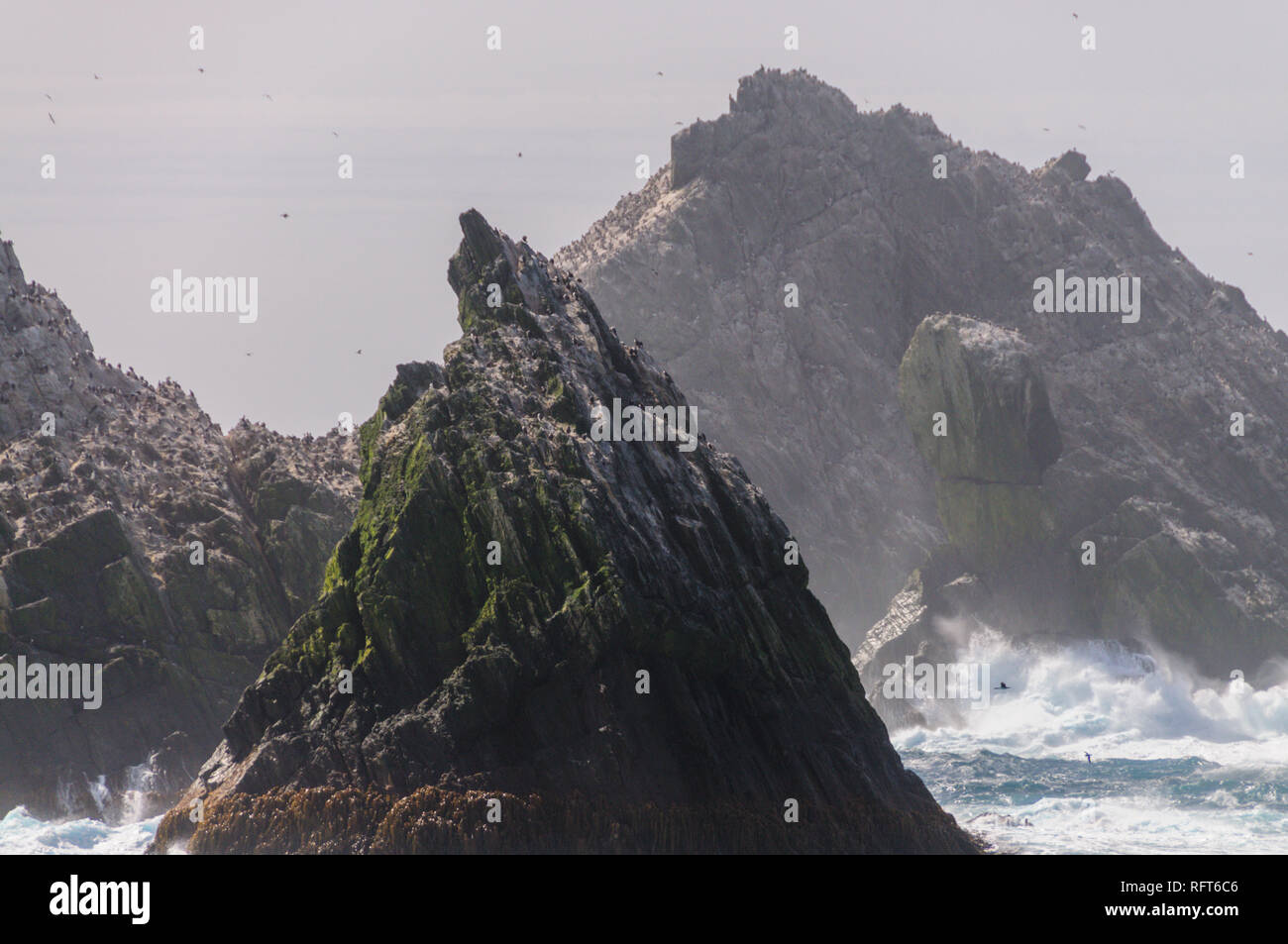 The Shag Rocks are six small, uninhabited, islands on the most western ...