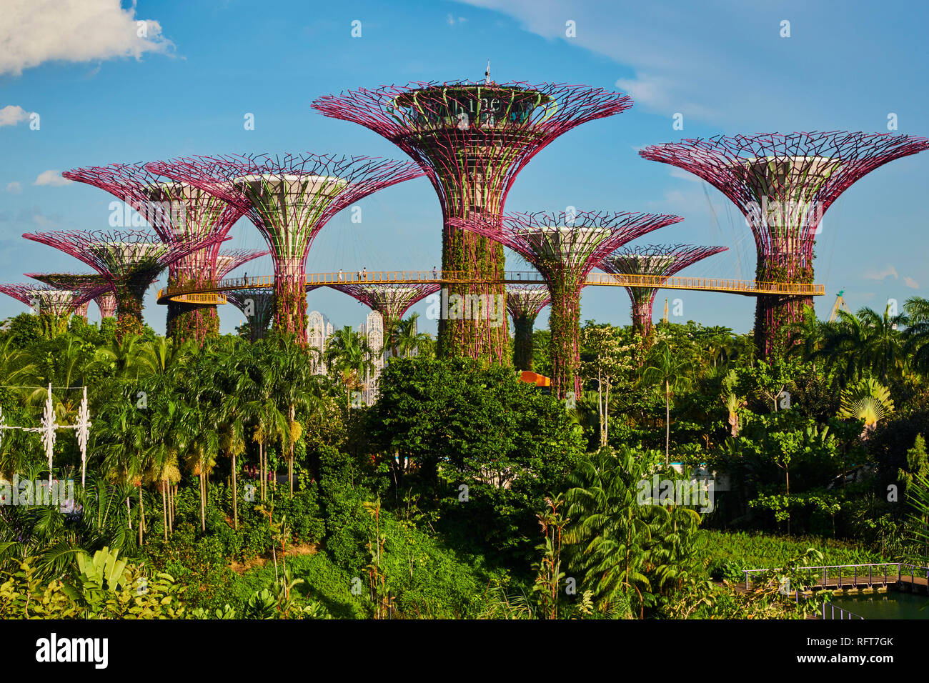 Supertree Grove Garden By The Bay Botanic Garden Marina Bay