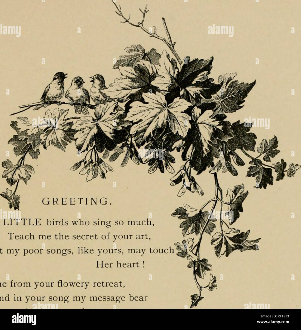 Captive memories;. Flowers; Flowers in literature. /’ LITTLE birds 