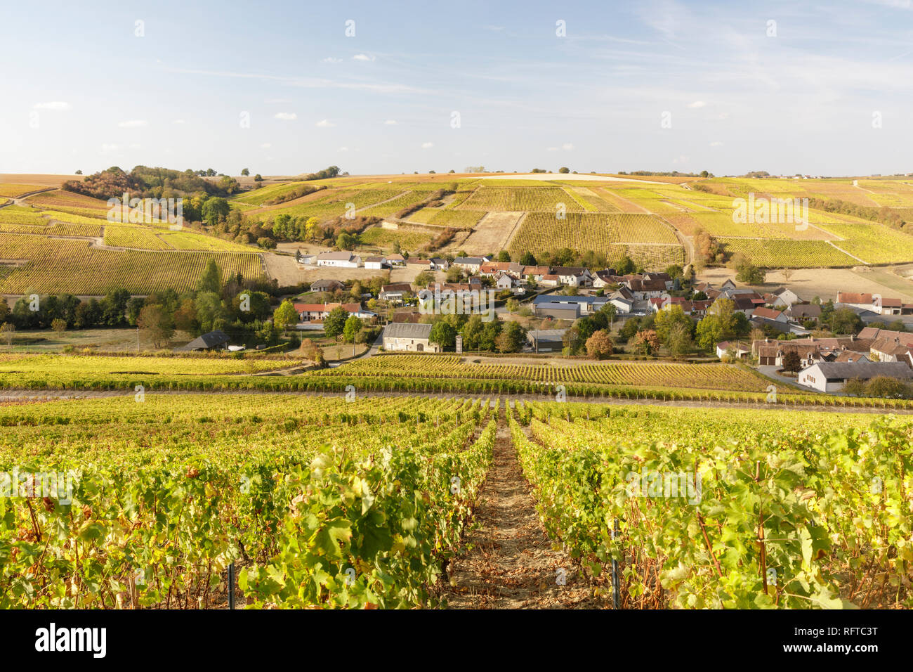 The vineyards of Sancerre, Cher, Centre-Val de Loire, France Stock Photo